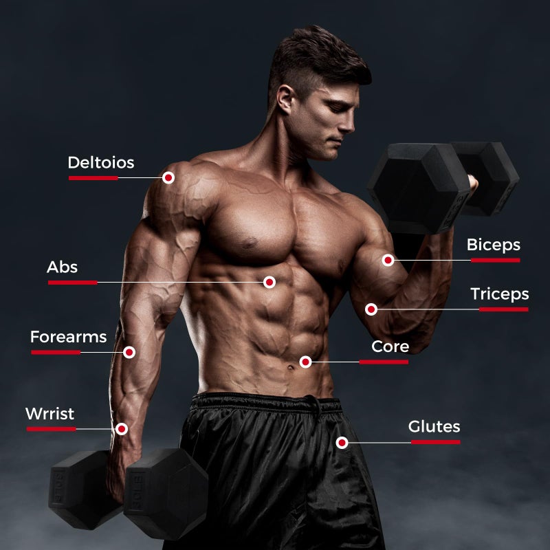 RitFit 5LB Dumbbells Set of 2 Rubber Encased Dumbbell Sets with Optional Rack for Home Gym  Coated Hand Weights for Strength Training  Workouts - Image 4